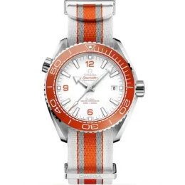 Omega Seamaster Planet Ocean